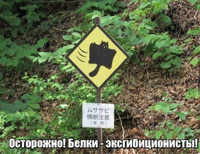 11786602.jpg