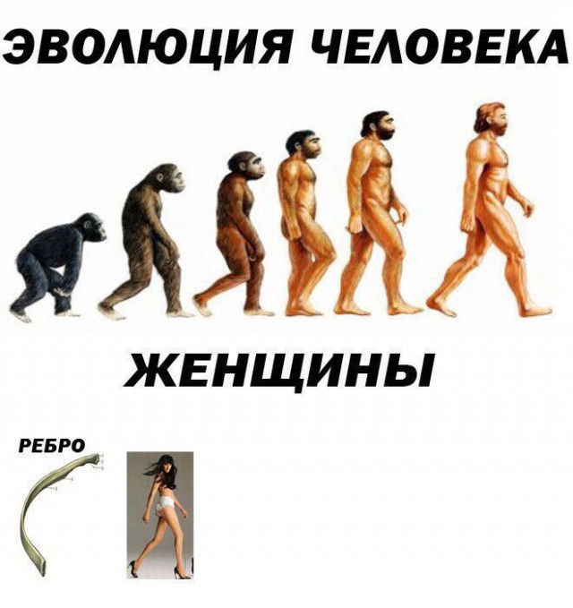 9456992.jpg