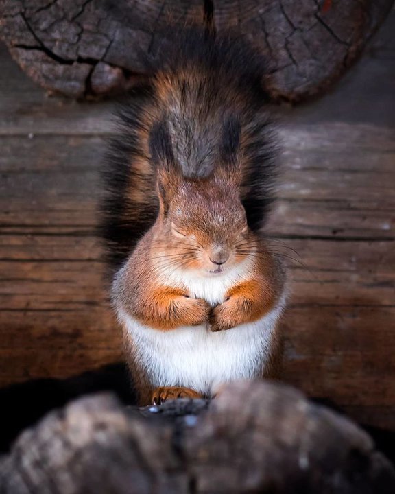 finskiy_fotograf4.jpg