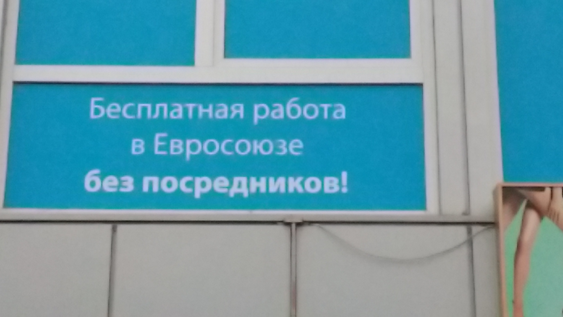 IMG_20190227_123659.jpg