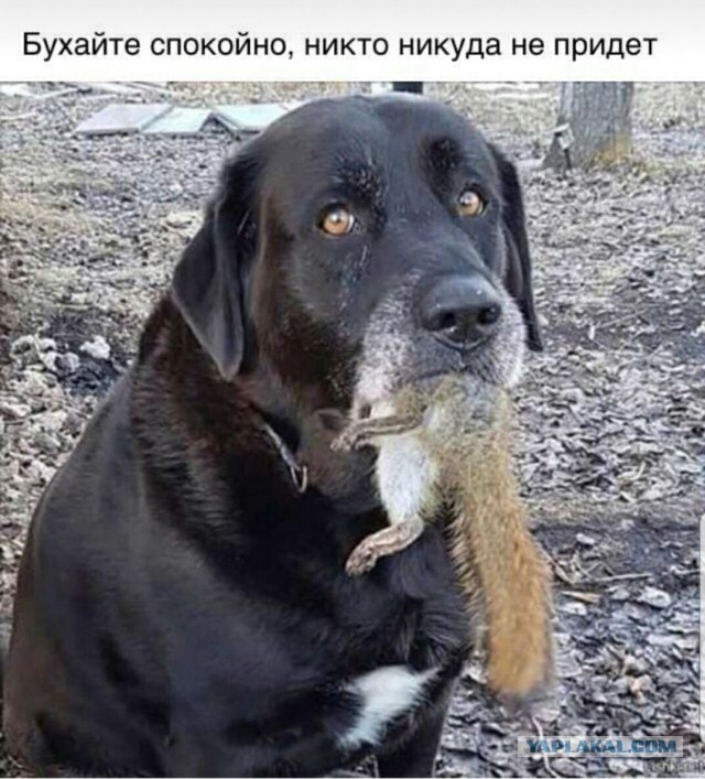 12378328.jpg