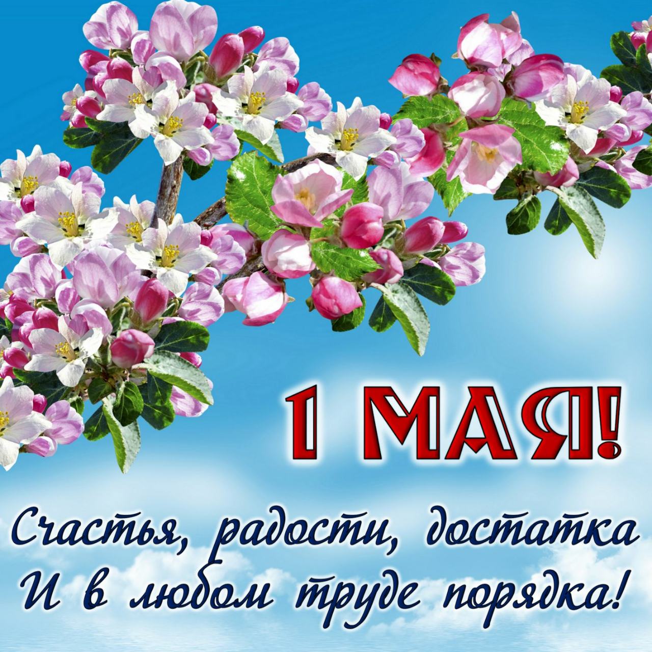 IMG-4ad1d7dccebf404063d0b3118072469a-V.jpg