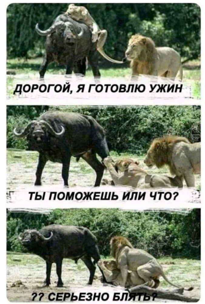 13683923.jpg