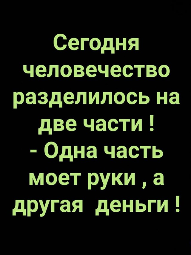 14131233.jpg
