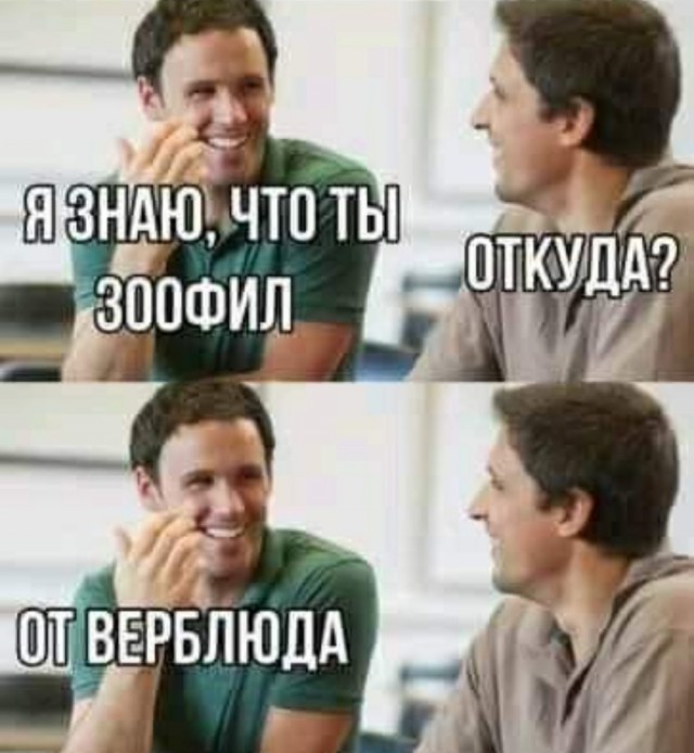 от верблюда.jpg