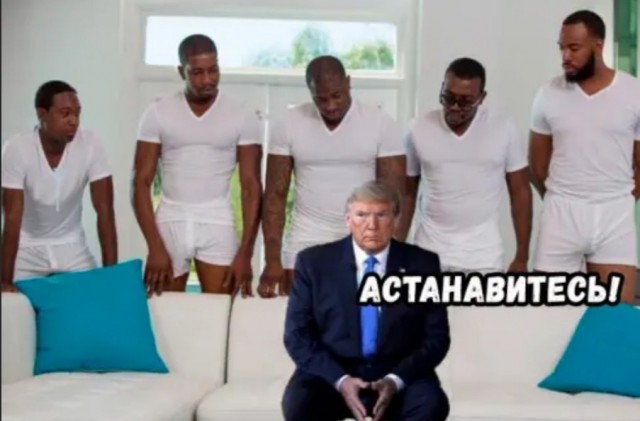 14407628.jpg