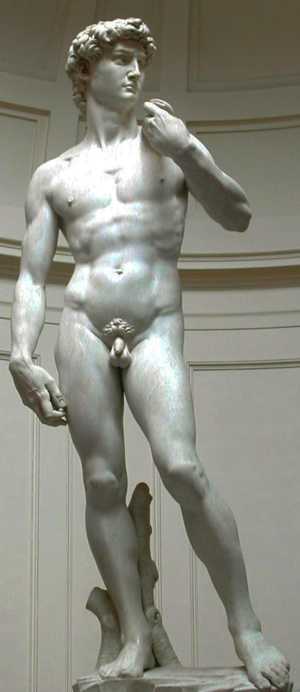 https___i.pinimg.com_originals_81_89_99_818999b0942b6e45bc79359df948b5bb.jpg