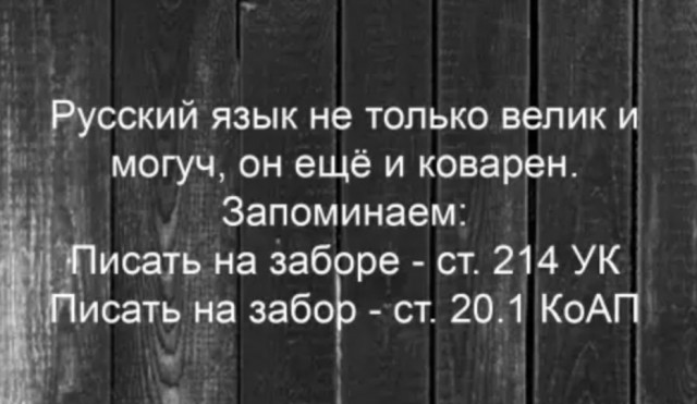 14731125.jpg