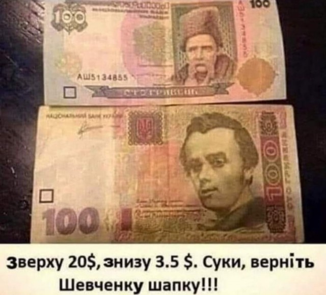 14865784.jpg