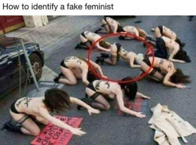 15126911.jpg