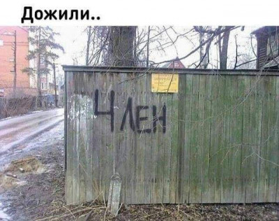 15308626.jpg