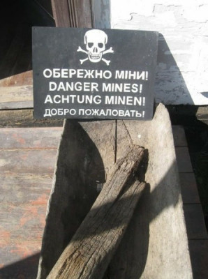 15372613.jpg