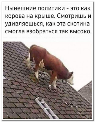 15577092.jpg