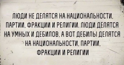 15305689.jpg