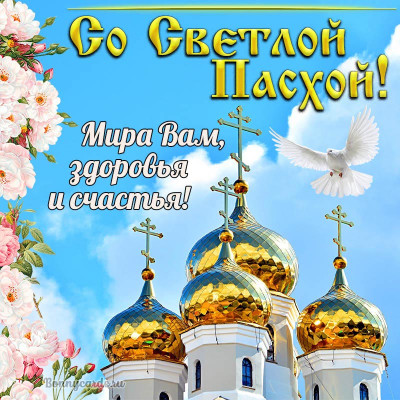 pasha0059.jpg