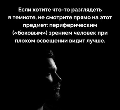 e897ea5d-2020-412e-afe7-da21377cae89.jpg
